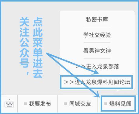 最新爆料见闻100字,见闻100字背后的惊人真相  第1张