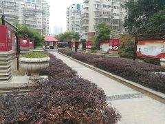 南通景河苑最新爆料,揭秘神秘项目背后的真相  第1张