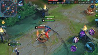 王者元哥爆料最新,揭秘最新游戏动态与神秘新英雄  第3张