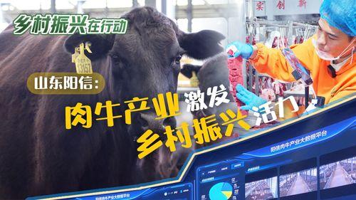 阳信牛肉爆料视频播放,揭秘视频播放背后的惊人数据  第1张